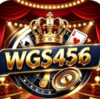WGS Game
